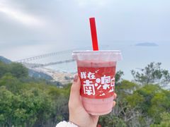 -南澳岛打卡果汁冰公司