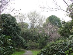 -桃花岛景观公园