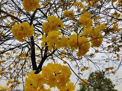 -中国移动南方基地