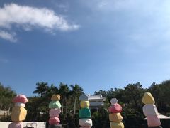 -漳州滨海火山岛自然生态风景区