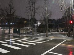 -首尔市立美术馆
