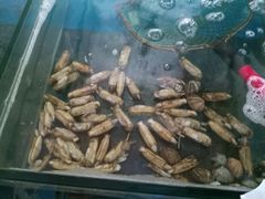 -雅逸居海鲜小厨