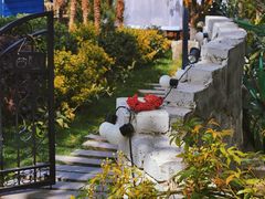 -Supine Bistro溯泮餐厅