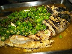 -鱼酷活鱼烤鱼(昆明路店)