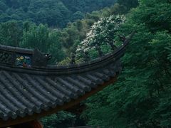 -杭州上天竺法喜讲寺