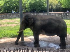 -西安秦岭野生动物园