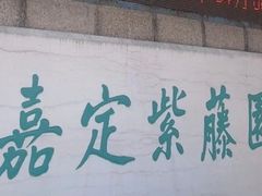 -嘉定紫藤园