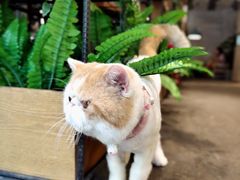 -ZM COFFEE(西安路店)