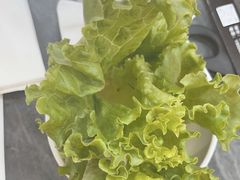 -允辛家·自助泥炉烤肉(九亭店)