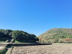 -八卦田遗址公园