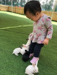 -萌宠亲子动物乐园(槐房万达店)