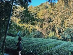 -敬亭山风景名胜区