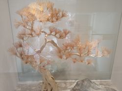 -麗宫轻医美·问题肌肤管理中心
