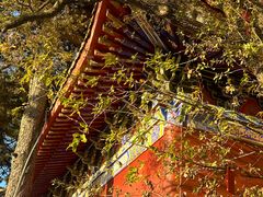 -终南山南五台景区