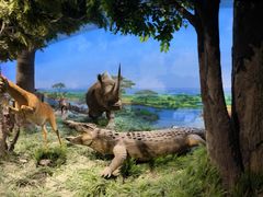 -国家自然博物馆