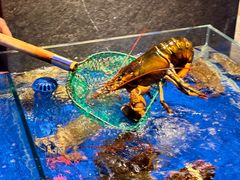 -上和臻品中国菜(花园街店)