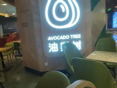 -油梨树AVOCADO TREE(嘉里中心店)