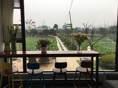 -洪湖家庭农场·团建·露营·会议