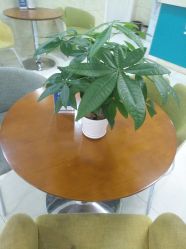 -成都军建医院·疤痕诊疗中心