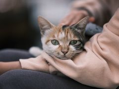 -Again Coffee Roaster(香蜜湖店)