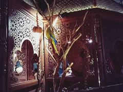 -楼兰新疆主题餐厅(苏州中心店)