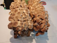 -香佰里重庆火锅(恒力博纳广场店)