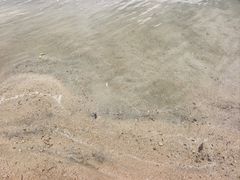 -天鹅湖体育公园