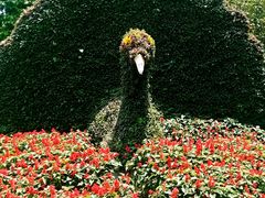 -东南花都花博园