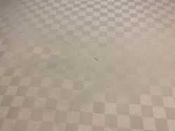 -西安威斯汀大酒店·宴会厅