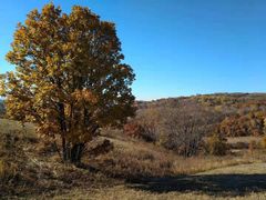 -塞罕坝国家级自然保护区