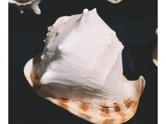 -青岛贝壳博物馆