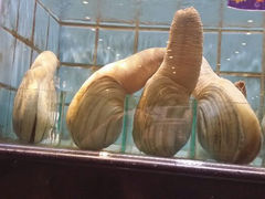 android_upload_pic-百年食府(亦庄店)