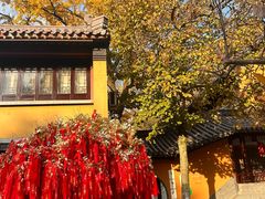 -灵谷景区