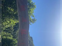 -幽岚山·童话森林