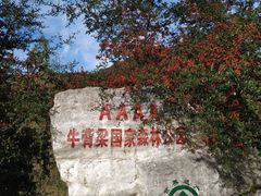 -牛背梁国家森林公园