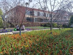 -丹东路渡口(轮渡站)