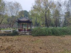-太子山公园(园东路)