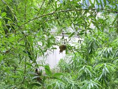 -绣园·茶食宴(湘绣博物馆店)