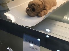 -YC工作室蛋糕定制
