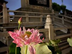 -寒山寺