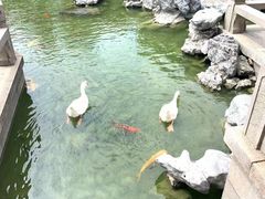 -祝家花園(伯渎港店)