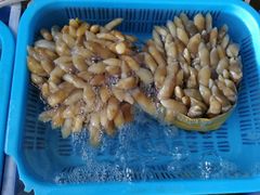 -辉记虾塘海鲜农庄