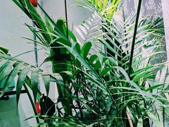 -弗洛拉定制花艺体验店