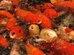 -龙悦湾酒家·八阵鱼生·渔人码头店
