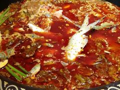 -三道苗苗鱼·美蛙黄辣丁(八里店)