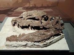 -昆明市博物馆(昆明市文物保护和考古研究中心)