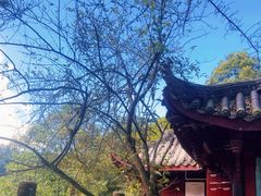 -青城山