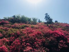 -木兰云雾山