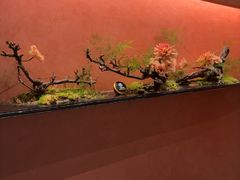 -醉东Oriental House(静安嘉里中心店)