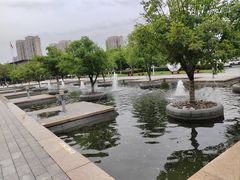 -白塘生态植物园